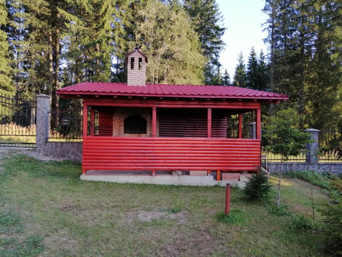 Casa De Vacanta Paraul Rece Exterior foto